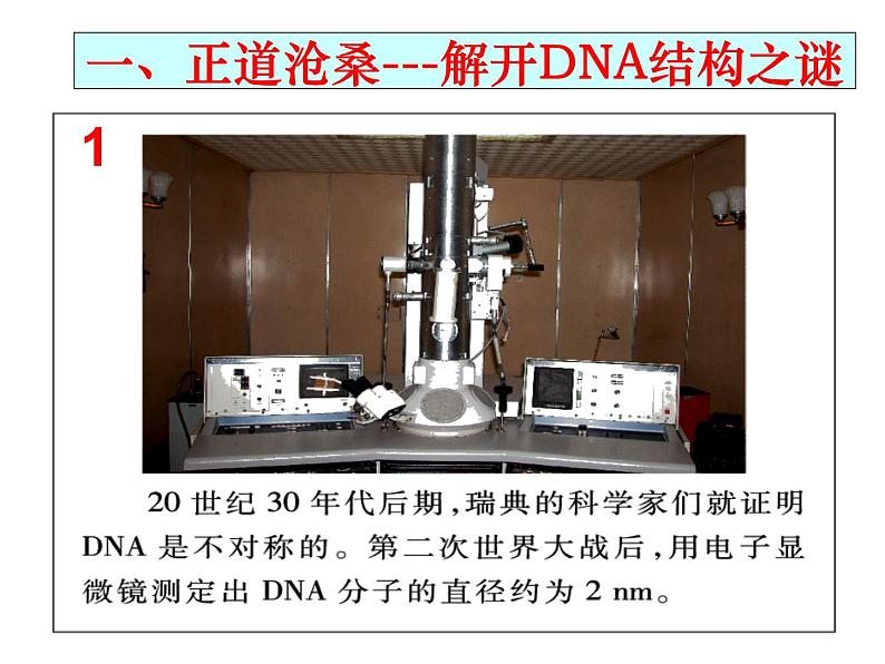 DNA的分子结构课件PPT第4页