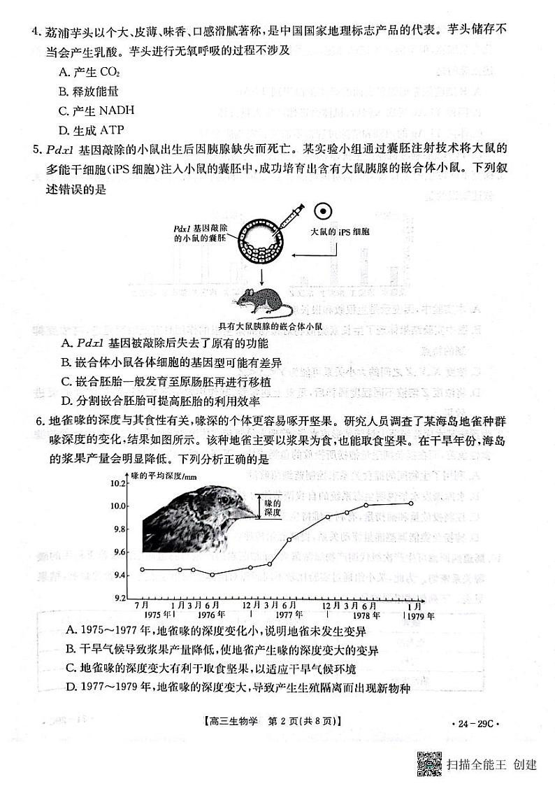 广西普通高中2024届高三年级跨市联合适应性训练检测卷生物02