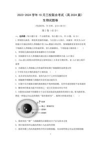 重庆市铜梁一中等三校2024届高三上学期10月联考生物