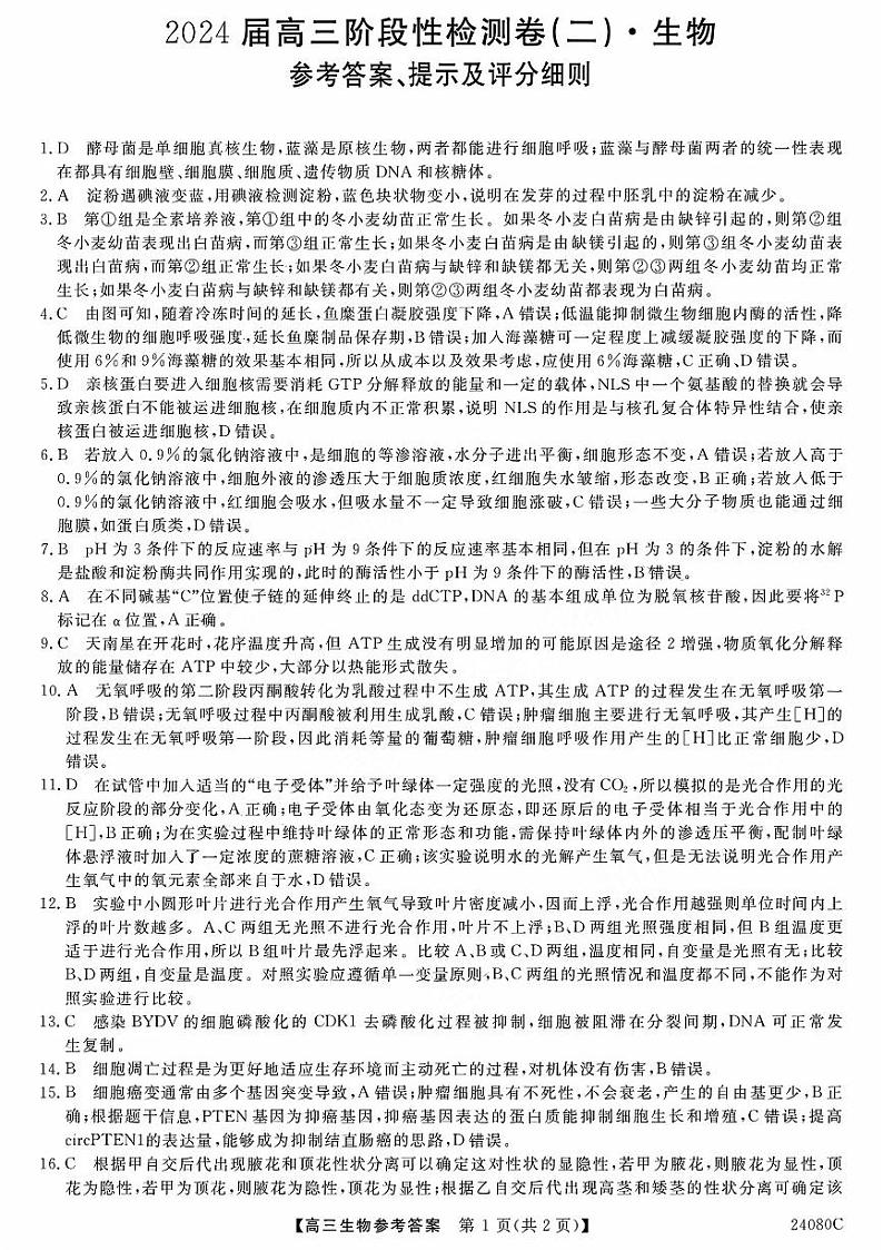 陕西省宝鸡教育联盟2024届高三上学期阶段性检测（二）生物01