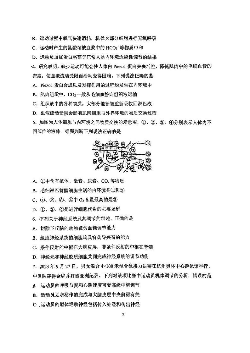 吉林省长春市东北师范大学附属中学2023-2024学年高二上学期期中考试生物试题02