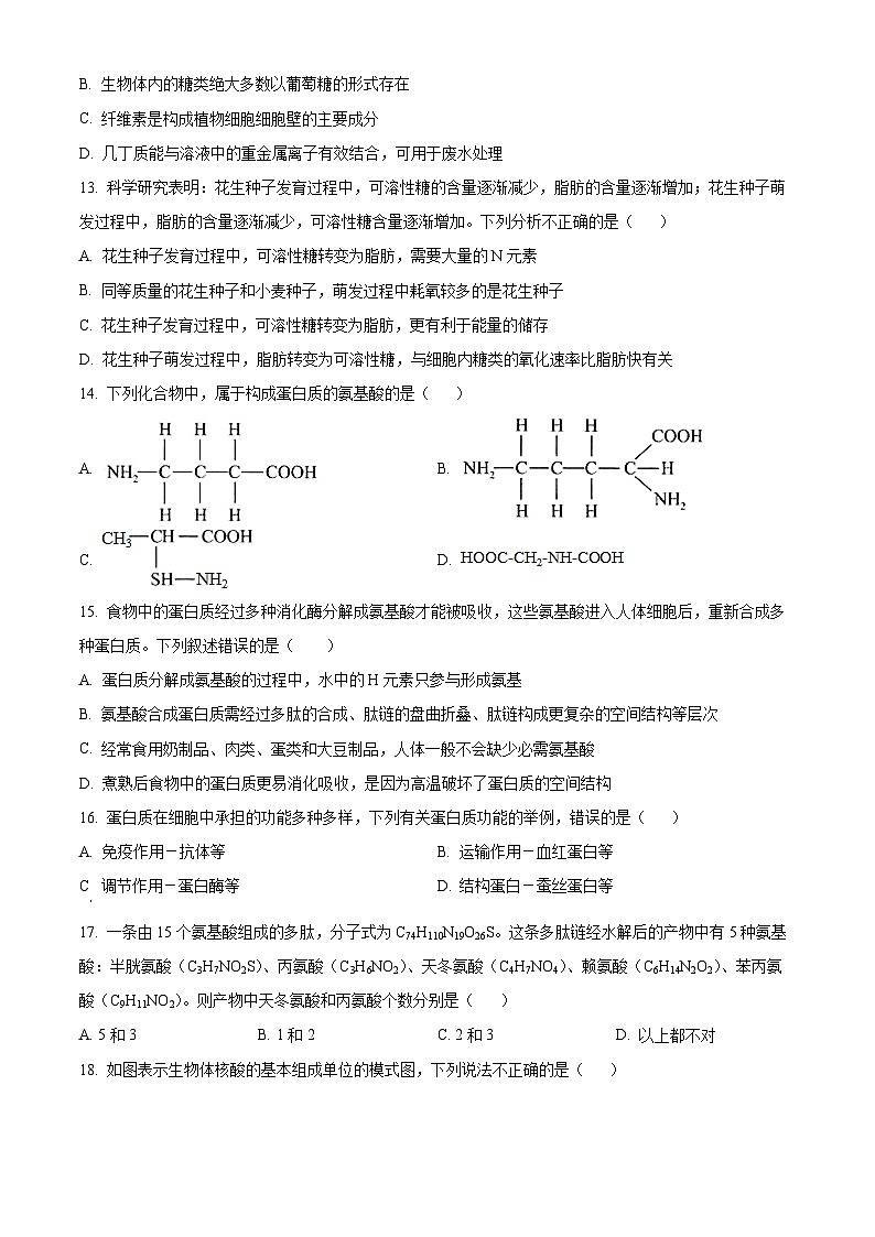 2022河南省实验中学高一上学期期中生物试题含解析03