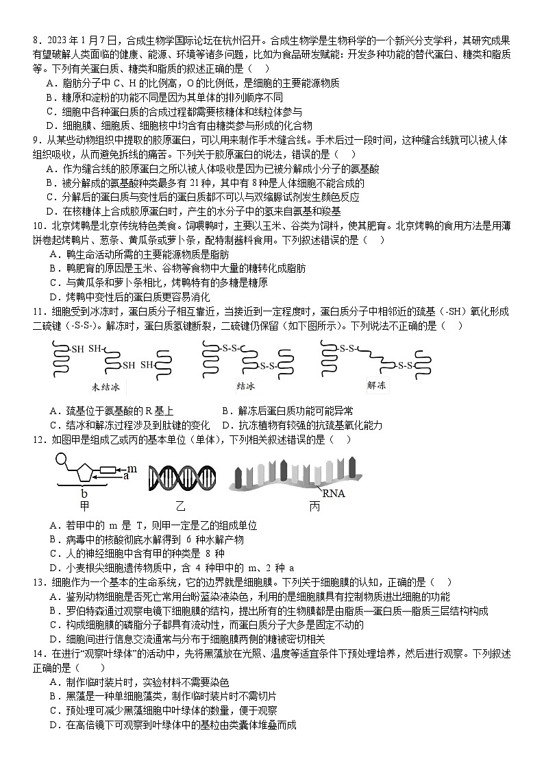河南省原阳县第一高级中学2023-2024学年高一上学期10月月考生物试题第2页