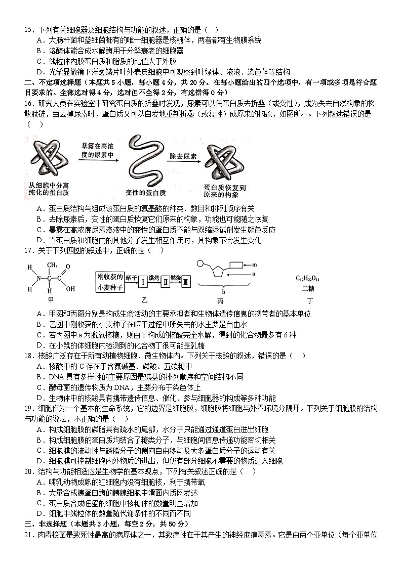 河南省原阳县第一高级中学2023-2024学年高一上学期10月月考生物试题第3页