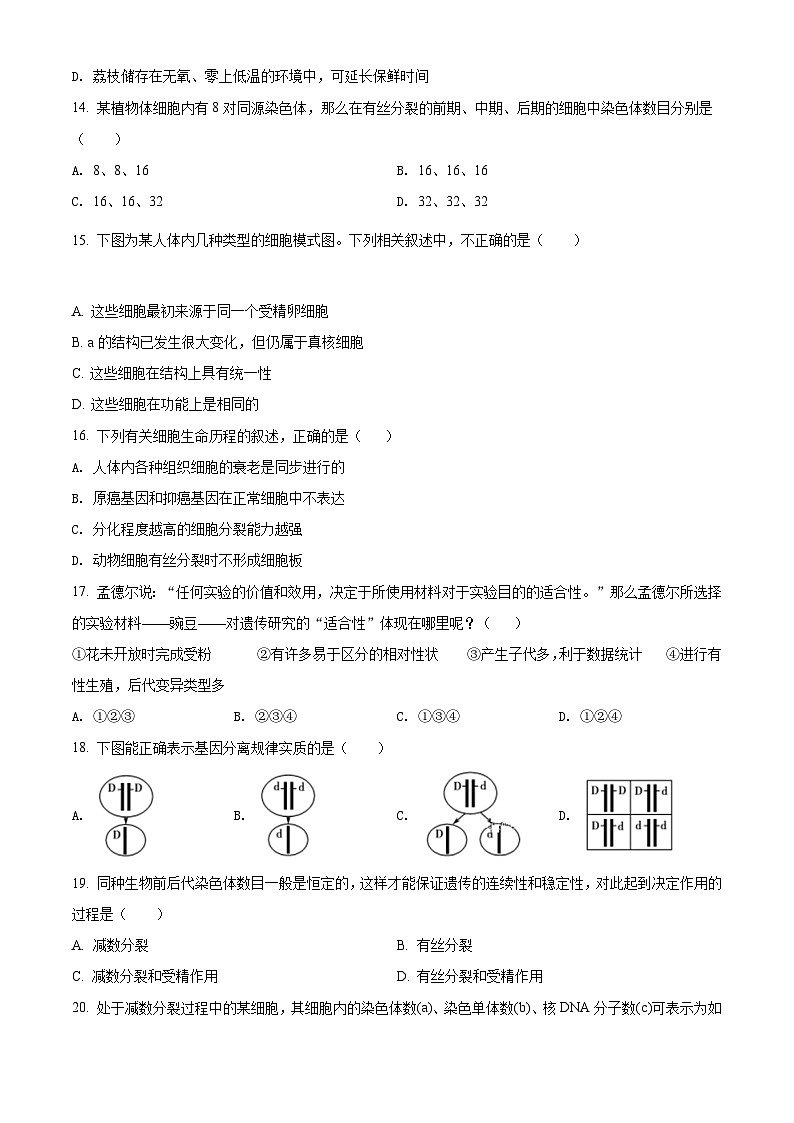 【期中真题】云南省玉溪市一中2021-2022学年高二上学期期中生物试题（原卷版）第3页