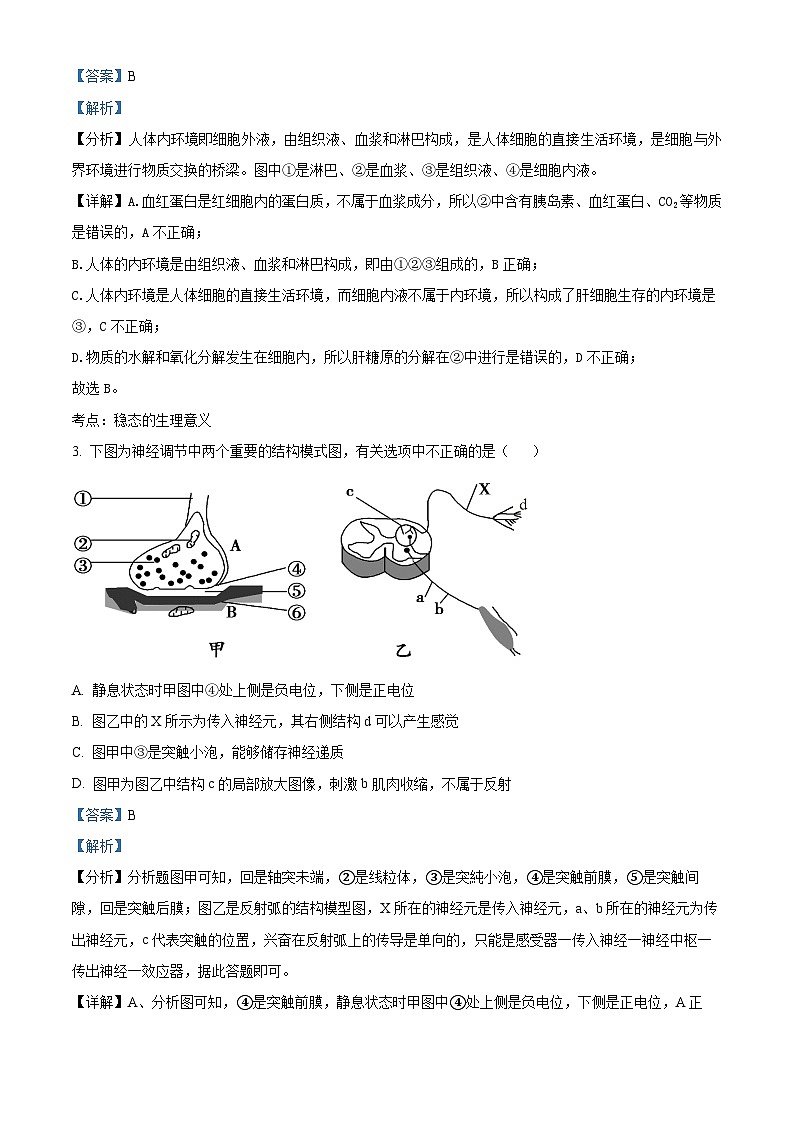 【期中真题】四川省成都外国语学校高二上学期期中生物试题02