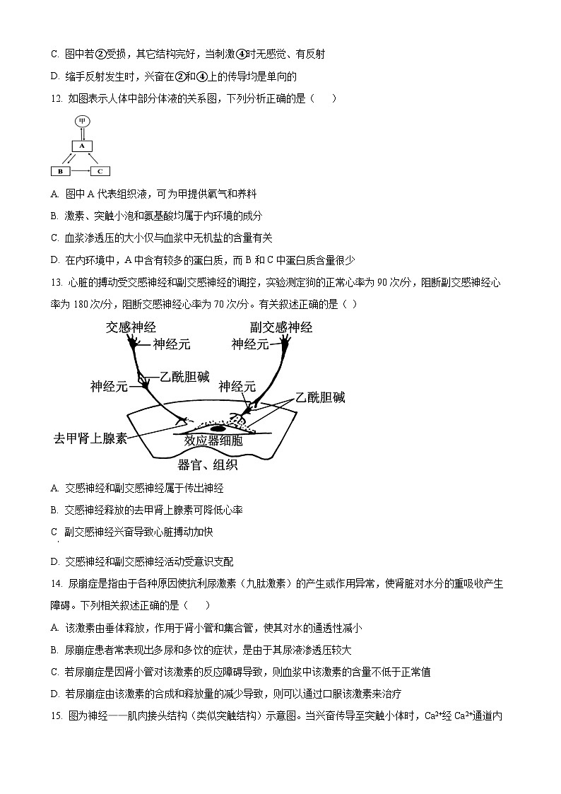 【期中真题】天津市五校联考2021-2022学年高二上学期期中生物试题.zip03