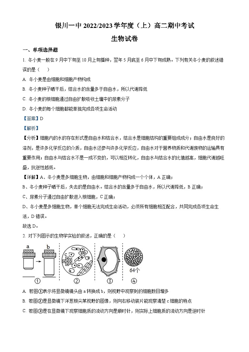 【期中真题】宁夏回族自治区银川一中高二上学期期中生物试题01