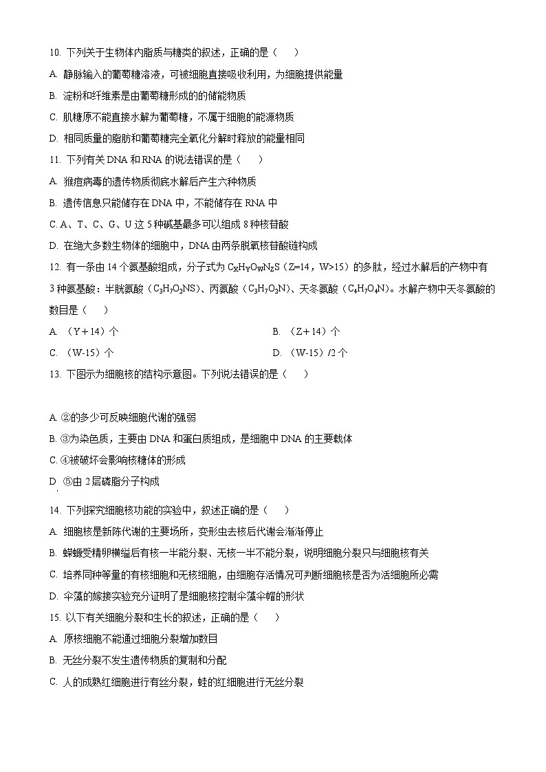 【期中真题】宁夏回族自治区银川一中高二上学期期中生物试题03