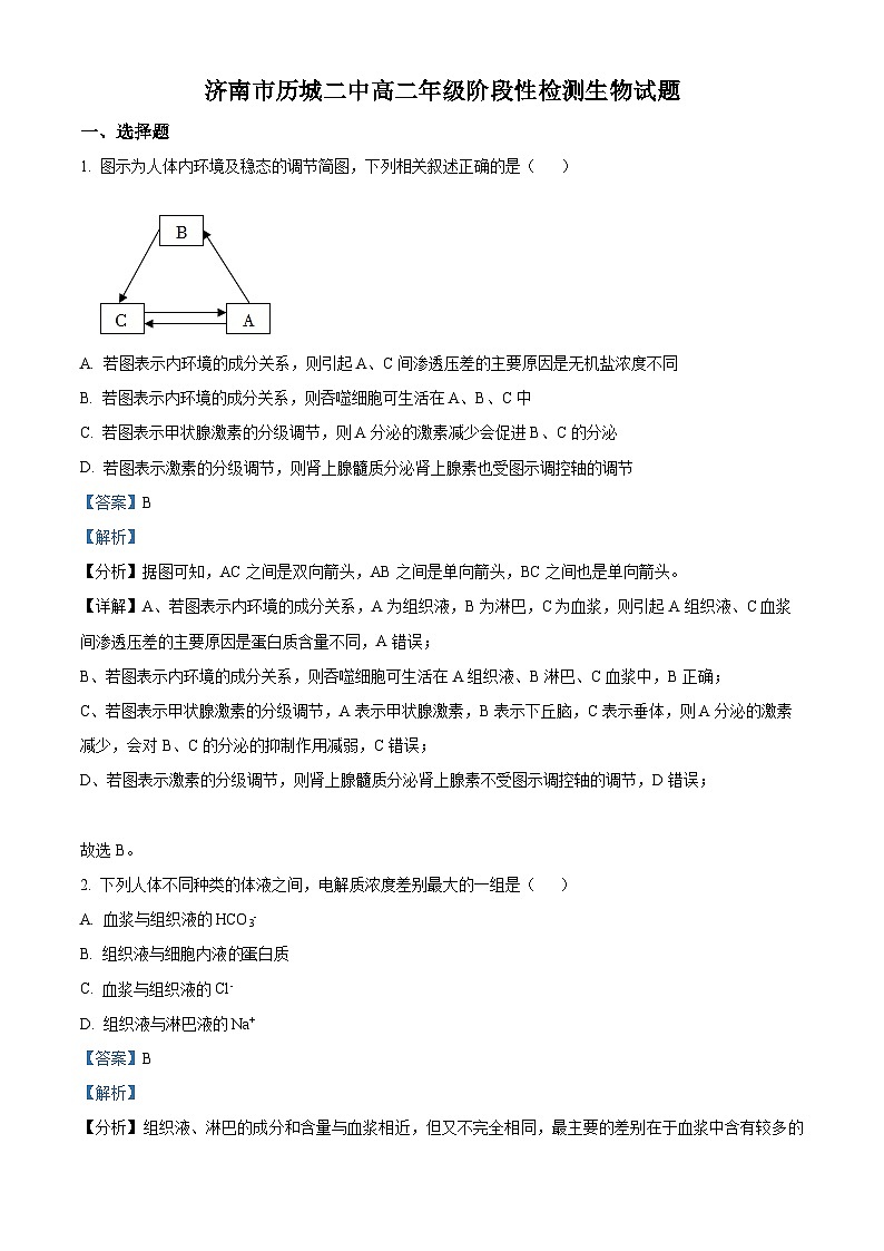 【期中真题】山东省济南市历城二中2022-2023学年高二上学期期中生物试题（解析版）第1页