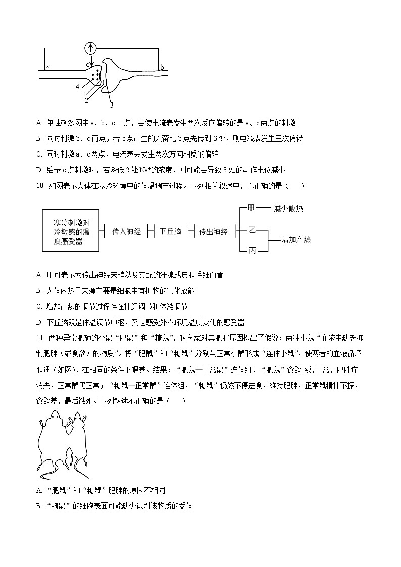【期中真题】山东省济南市历城二中2022-2023学年高二上学期期中生物试题（原卷版）第3页