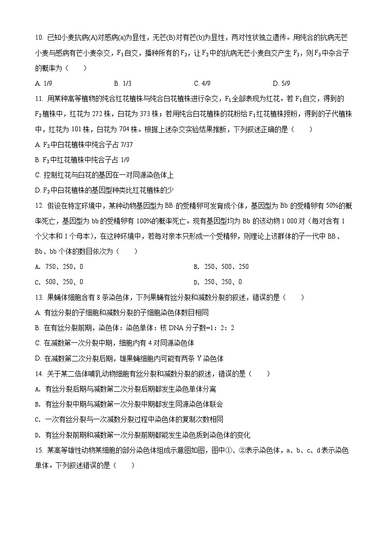 【期中真题】河南省实验中学高二上学期期中生物试题03