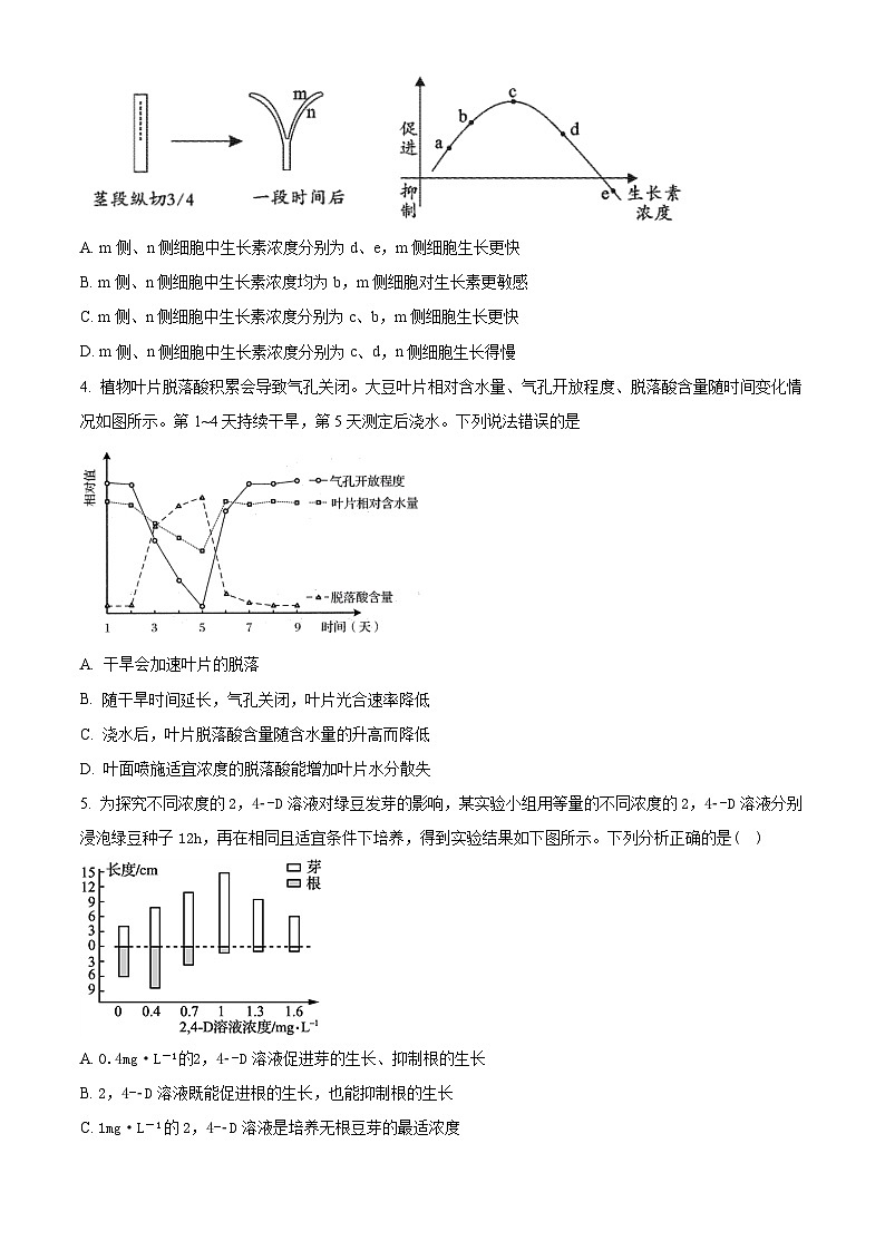 【期中真题】河南省郑州市外国语学校高二上学期期中生物试题02