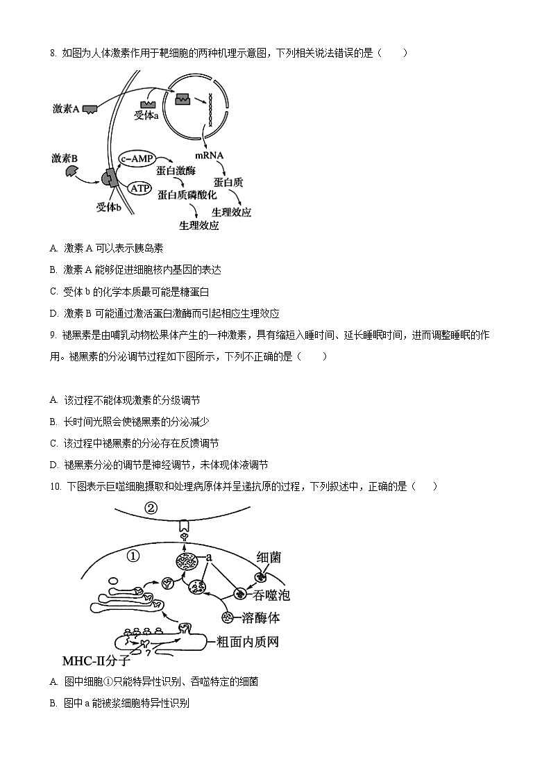 【期中真题】湖南师范大学附中2022-2023学年高二上学期期中生物试题（原卷版）第3页