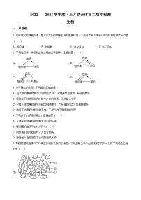 【期中真题】辽宁省沈阳市协作体2022-2023学年高二上学期期中生物试题.zip