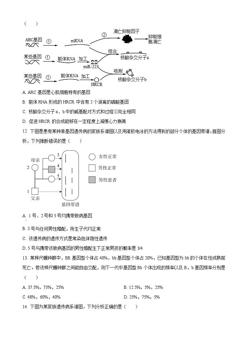 【期中真题】重庆市八中2022-2023学年高二上学期期中检测生物试题（原卷版）第3页