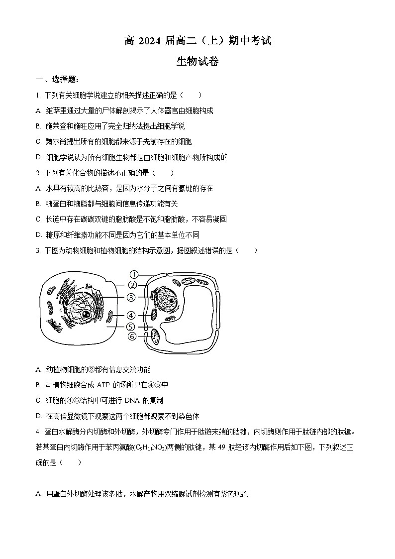 【期中真题】重庆市巴蜀中学校2022-2023学年高二上学期期中生物试题（原卷版）第1页