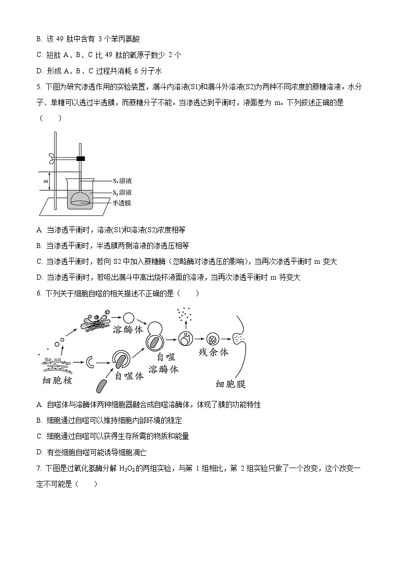【期中真题】重庆市巴蜀中学校2022-2023学年高二上学期期中生物试题（原卷版）第2页