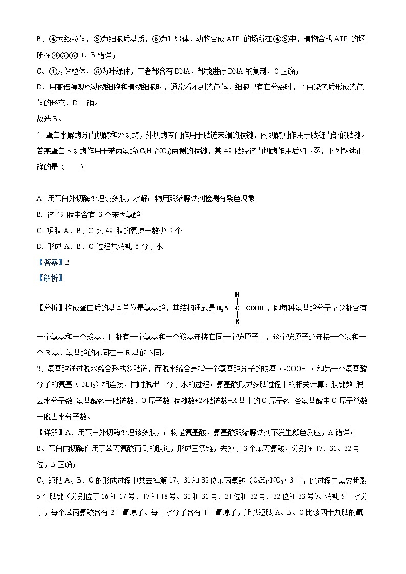 【期中真题】重庆市巴蜀中学校2022-2023学年高二上学期期中生物试题（解析版）第3页