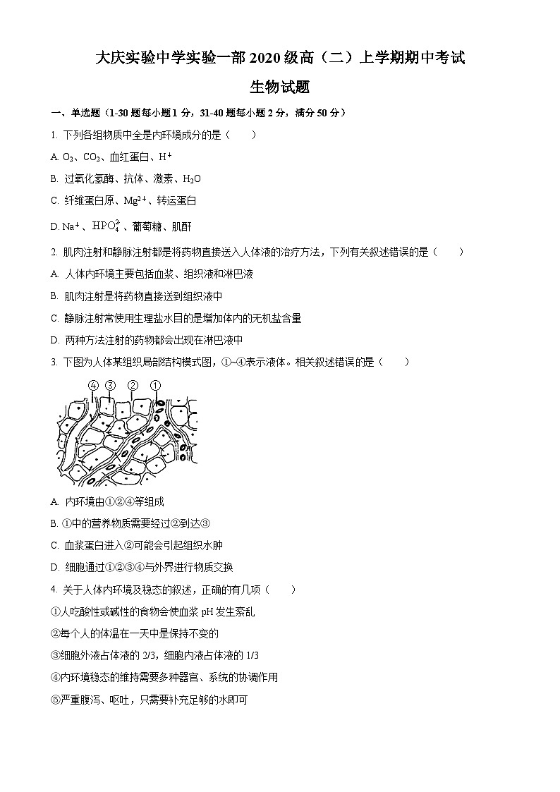 【期中真题】黑龙江省大庆实验中学高二上学期期中生物试题01