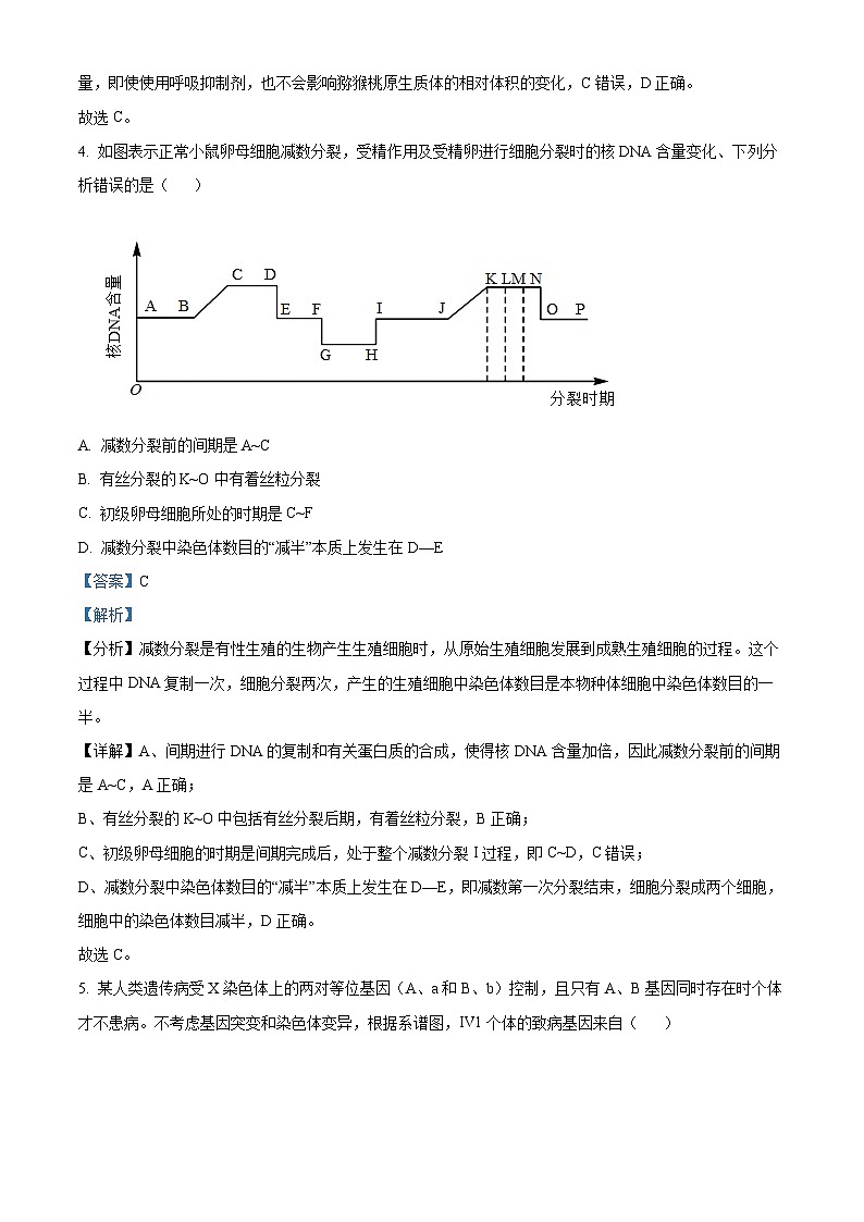【期中真题】黔东南六校联盟高二上学期期中联考生物试题03