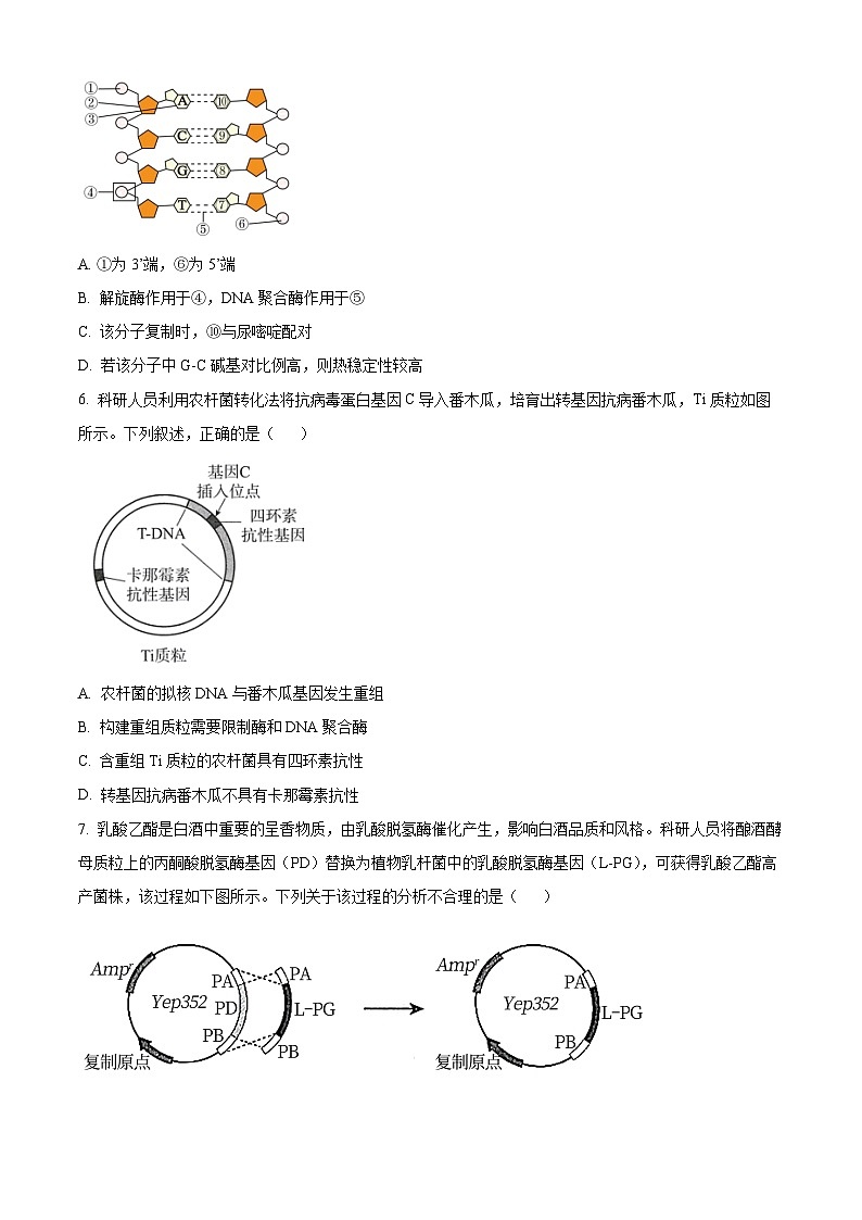 【期中真题】北京市四中2022-2023学年高三上学期期中生物试题02