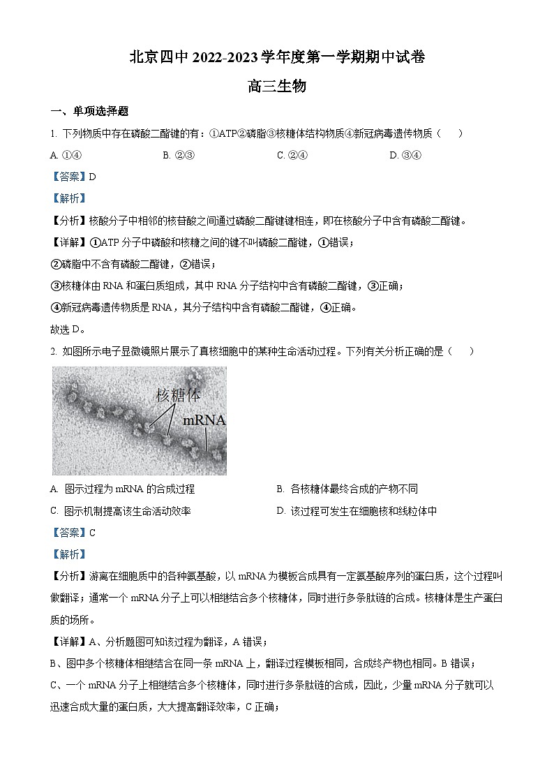 【期中真题】北京市四中2022-2023学年高三上学期期中生物试题01