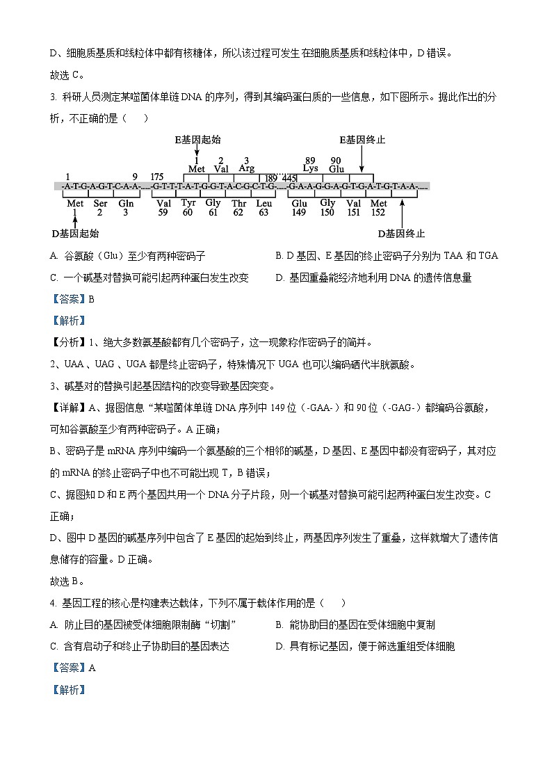 【期中真题】北京市四中2022-2023学年高三上学期期中生物试题02