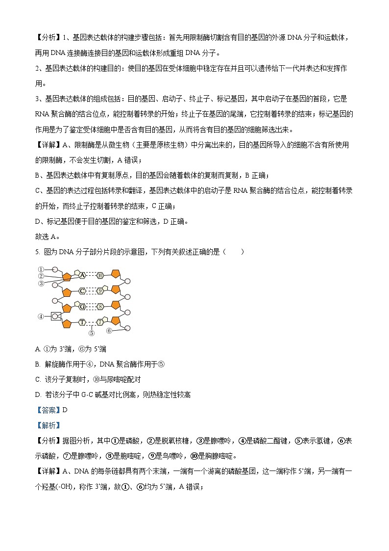 【期中真题】北京市四中2022-2023学年高三上学期期中生物试题03