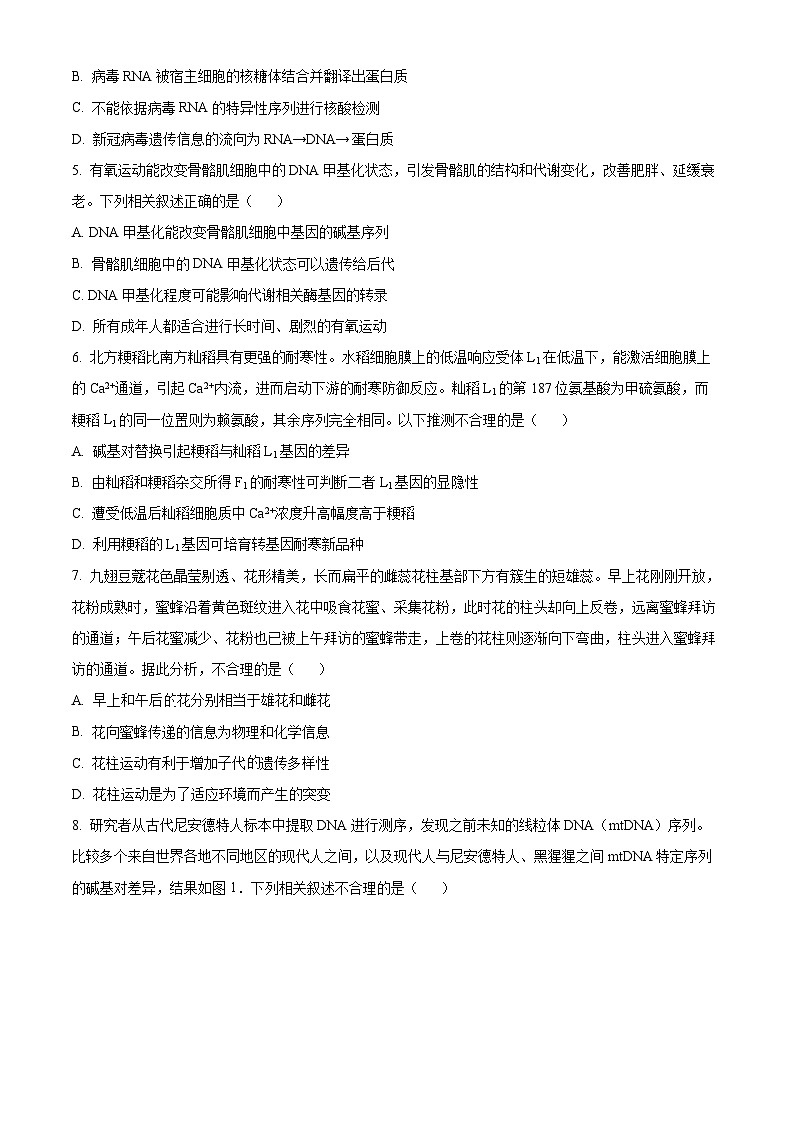 【期中真题】北京市海淀区2022-2023学年高三上学期期中生物试题（原卷版）第2页