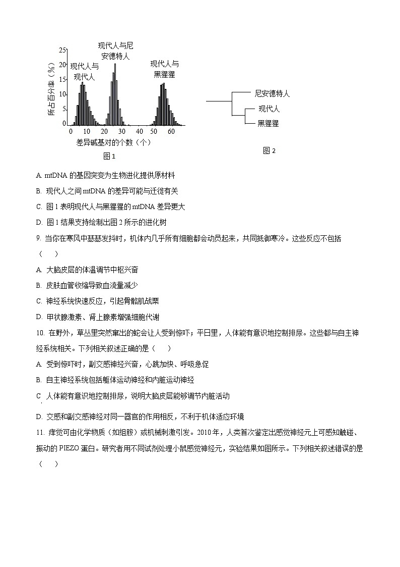 【期中真题】北京市海淀区2022-2023学年高三上学期期中生物试题（原卷版）第3页