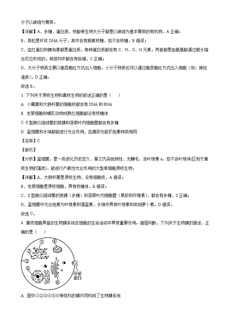 【期中真题】天津市五校2022-2023学年高三上学期期中联考生物试题（解析版）第2页