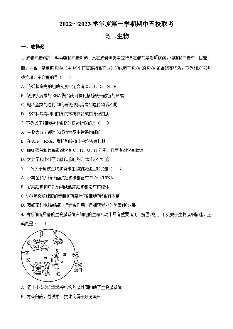 【期中真题】天津市五校2022-2023学年高三上学期期中联考生物试题（原卷版）第1页