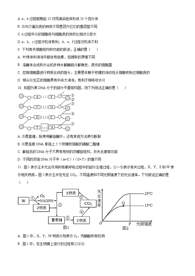 【期中真题】天津市五校2022-2023学年高三上学期期中联考生物试题（原卷版）第3页