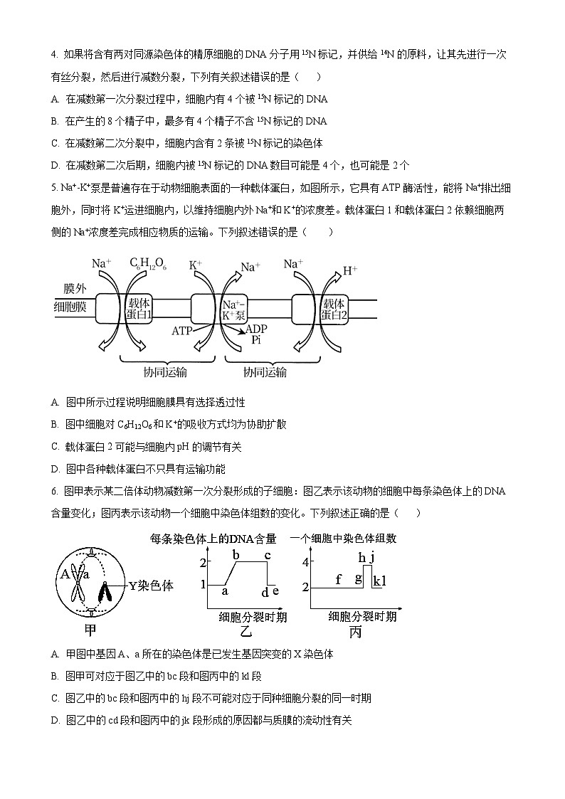 【期中真题】山东师范大学附中2021-2022学年高三上学期期中生物试题（原卷版）第2页
