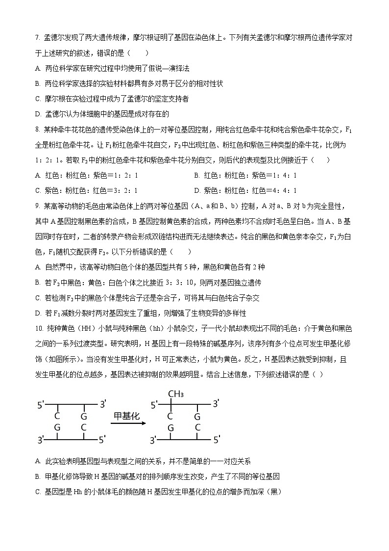 【期中真题】山东师范大学附中2021-2022学年高三上学期期中生物试题（原卷版）第3页
