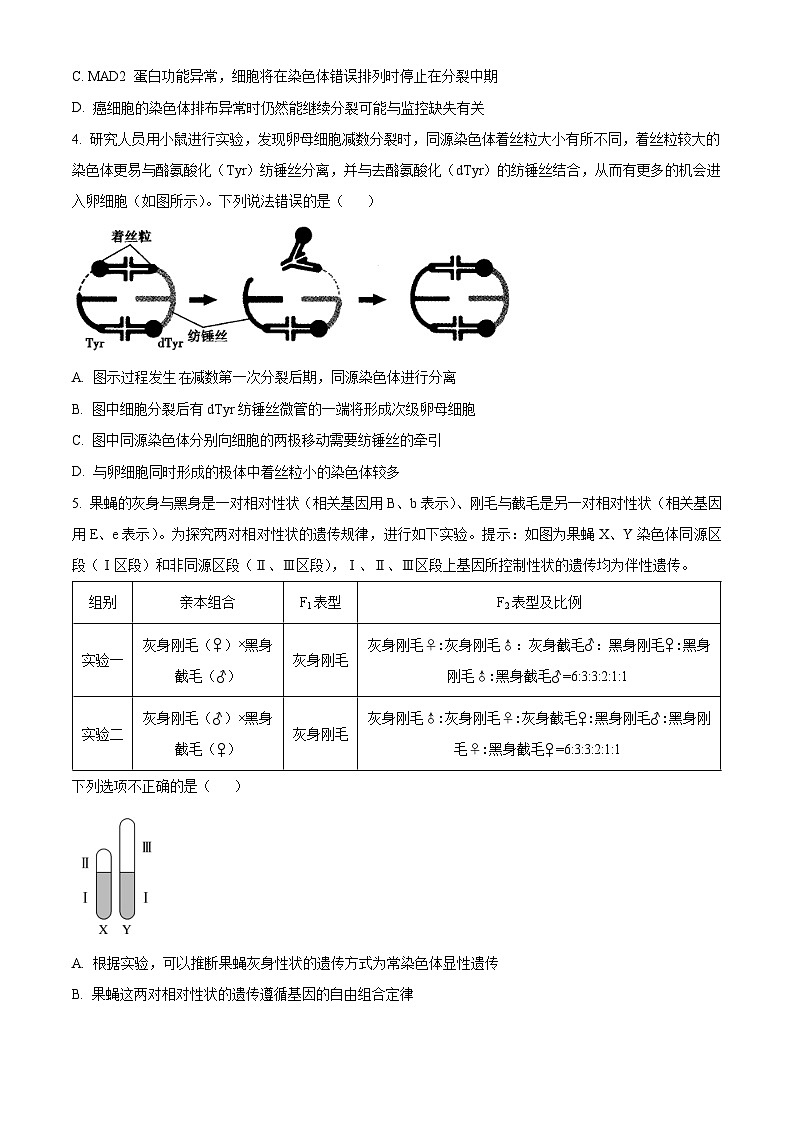 【期中真题】山东省青岛市二中2022-2023学年高三上学期期中生物试题02