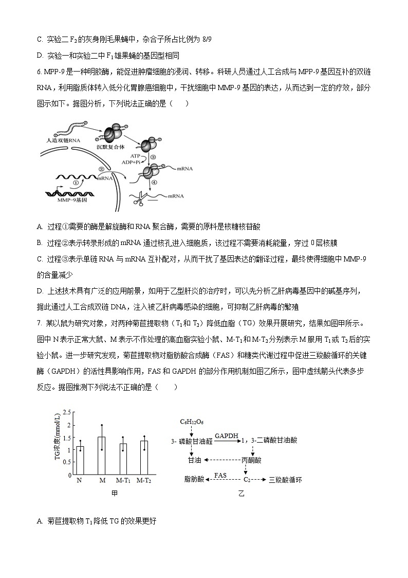 【期中真题】山东省青岛市二中2022-2023学年高三上学期期中生物试题03