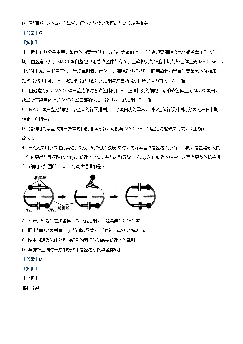 【期中真题】山东省青岛市二中2022-2023学年高三上学期期中生物试题03