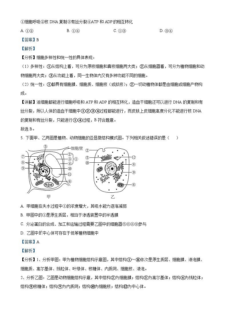 【期中真题】新疆兵团地州学校 2022-2023 学年高三上学期一轮期中调研考试生物试题（解析版）第3页