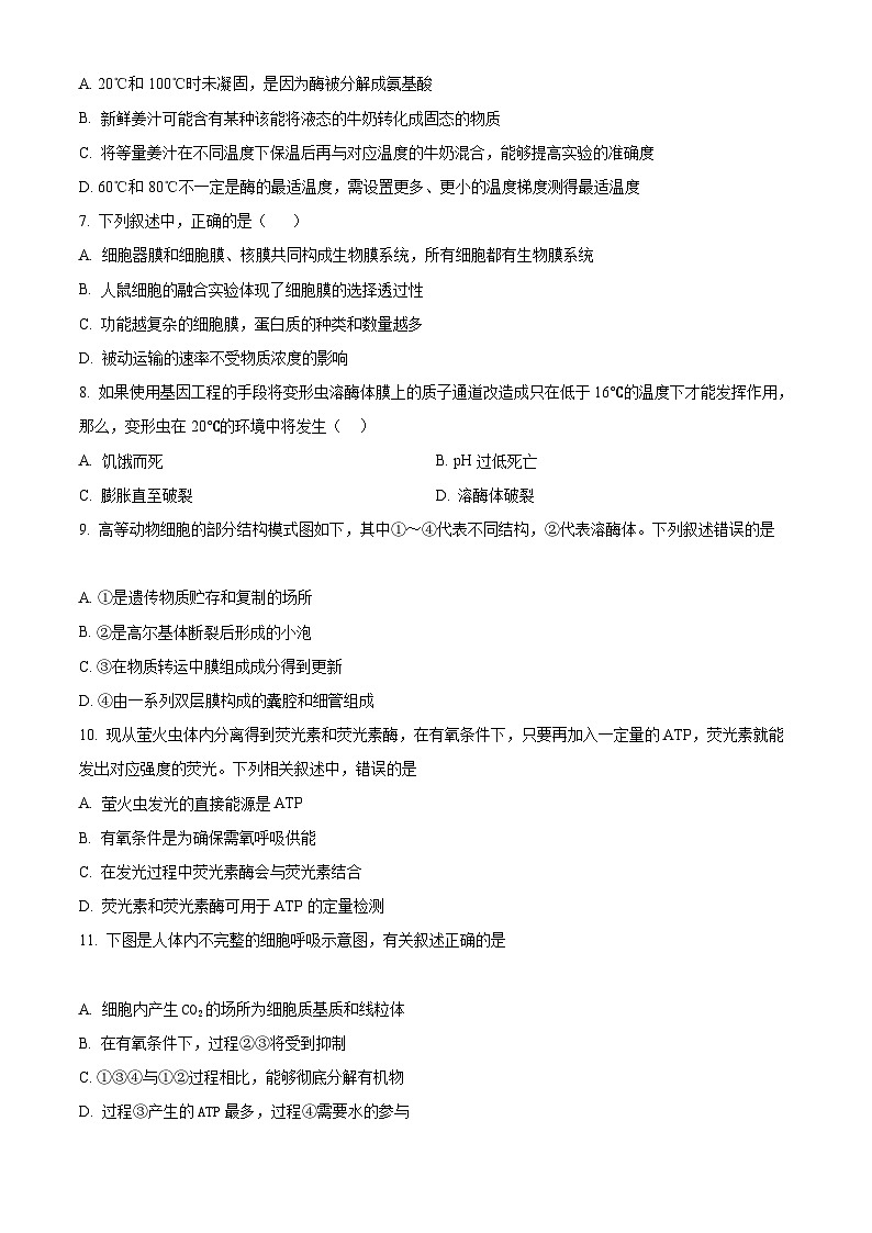 【期中真题】新疆和田地区策勒县2022-2023学年高三上学期期中生物试题（原卷版）第2页