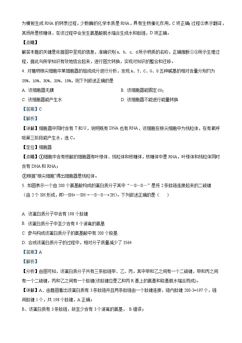 【期中真题】河南省实验中学2021-2022学年高三上学期期中生物试题03