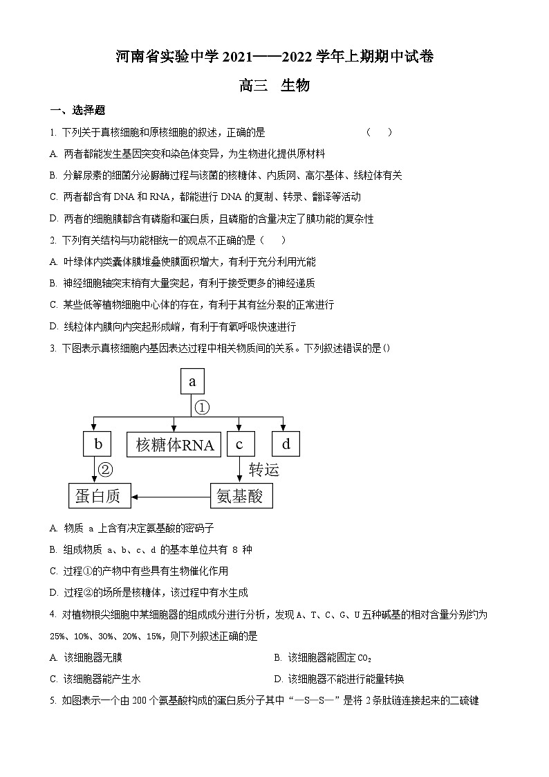 【期中真题】河南省实验中学2021-2022学年高三上学期期中生物试题01