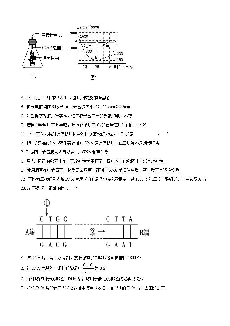 【期中真题】河南省实验中学2021-2022学年高三上学期期中生物试题03