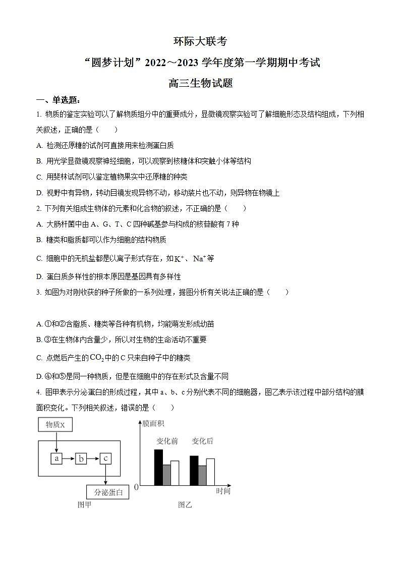 【期中真题】河南省部分重点中学环际大联考圆梦计划2022-2023学年高三上学期期中生物试题01