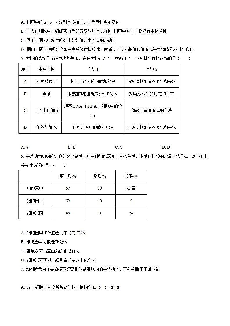 【期中真题】河南省部分重点中学环际大联考圆梦计划2022-2023学年高三上学期期中生物试题02