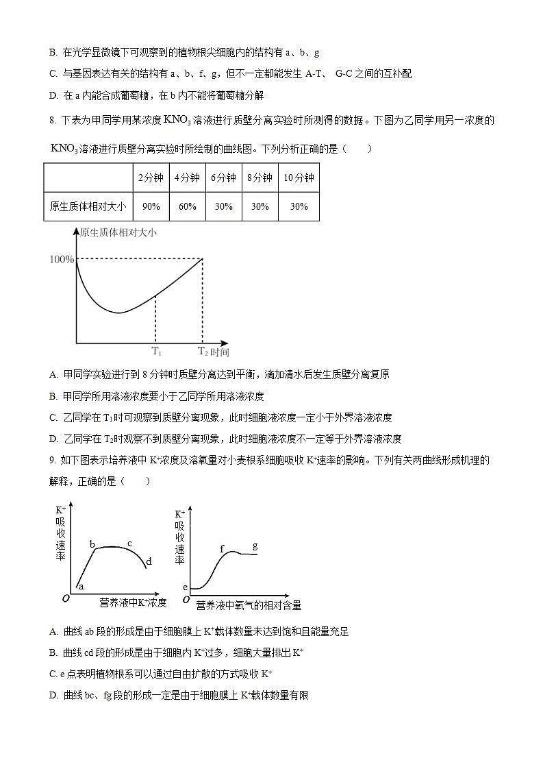【期中真题】河南省部分重点中学环际大联考圆梦计划2022-2023学年高三上学期期中生物试题03