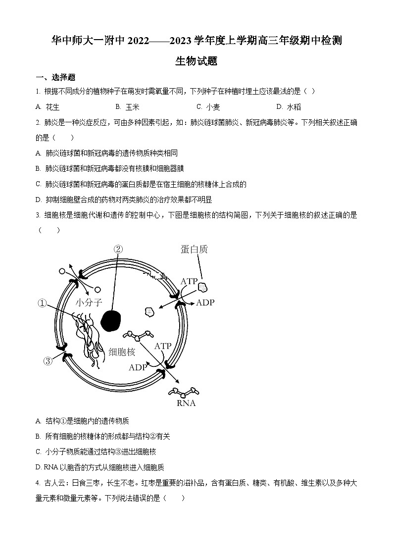 【期中真题】湖北省华中师范大学第一附属中学2022～2023学年高三上学期期中生物试题（原卷版）第1页