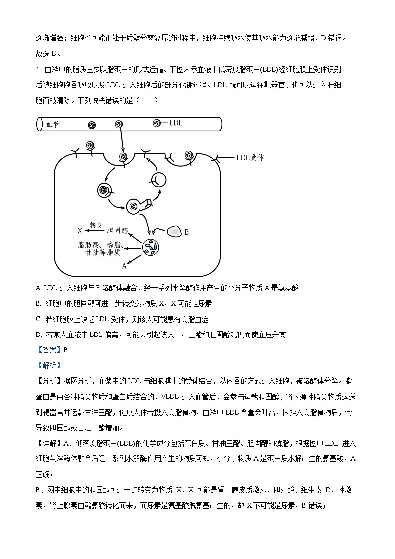 【期中真题】湖北省黄冈市2022-2023学年高三上学期期中质量抽测生物试题（解析版）第3页