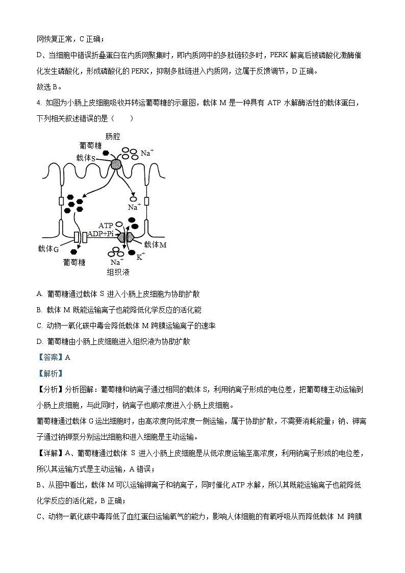 【期中真题】湖南省邵阳市武冈市2022-2023学年高三上学期期中生物试题（解析版）第3页
